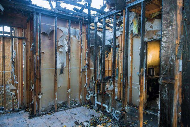 Professional Smoke Damage Removal technician working in Milford, OH